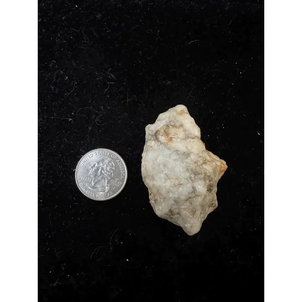 Gold on Quartz Specimen From Nevada City, California - Found in 2025